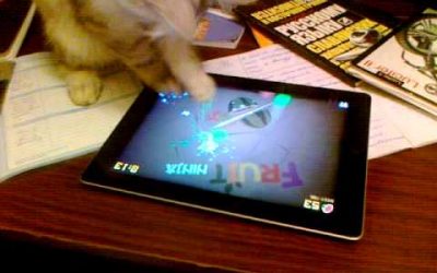 Gato jugando al Ninja Fruit en un Ipad