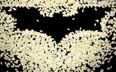 The Dark Knight Rices