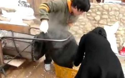 Así se hacen las palomitas en Corea