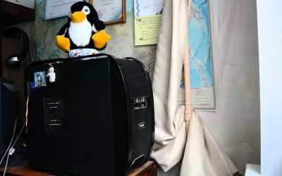 Los gatos también odian los DVD