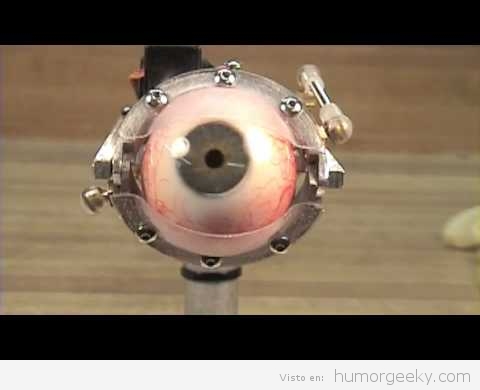 El mecanismo de un ojo