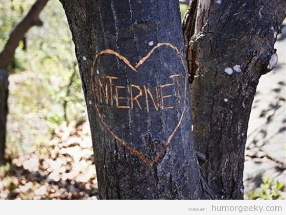 Corazón con Internet tallado en el tronco de un árbol