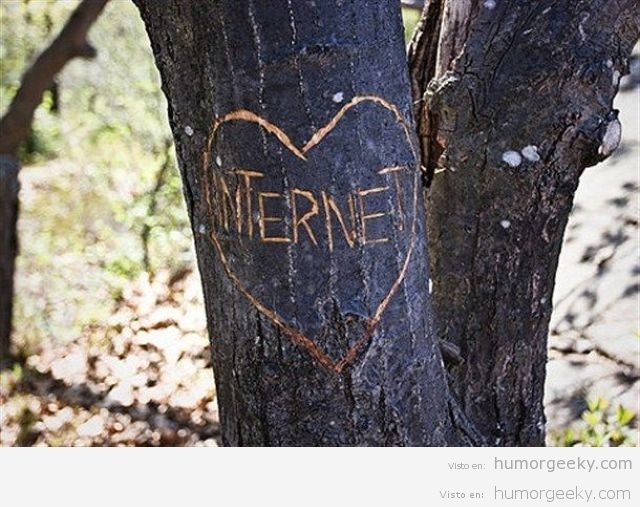Amor geek tallado en un árbol