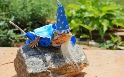 El Mago Iguanalein