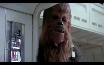 Reggae Chewbacca