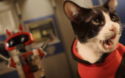Gatos en el espacio: Star Trek Gatuno