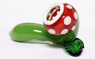Pipa planta piraña