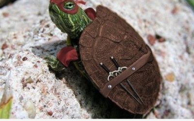 Y así son las tortugas ninja