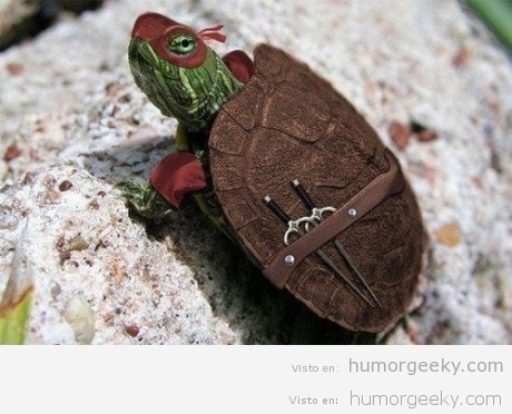 Y así son las tortugas ninja
