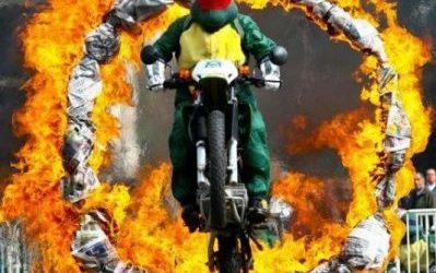 A las tortugas ninja les ha tocado la crisis