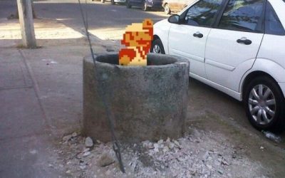 Corre, Mario, corre