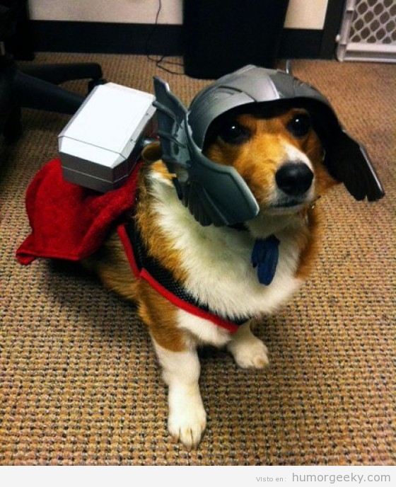 El perro de Thor
