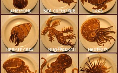 Las tortitas no tienen porque ser aburridas