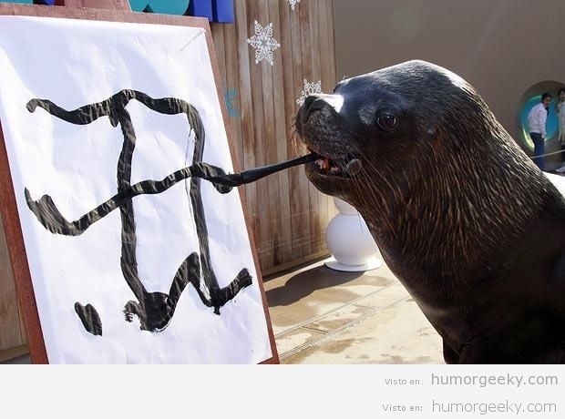 A esta foca no le gusta el software libre