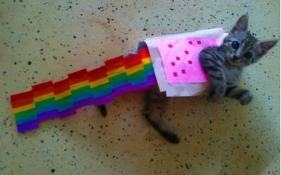 Yo quiero un NyanCat