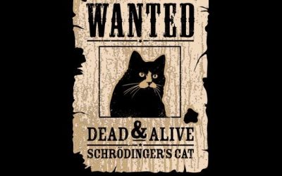 Se busca al gato de Schrödinger