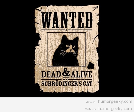 Se busca al gato de Schrödinger