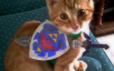 Gatico friki