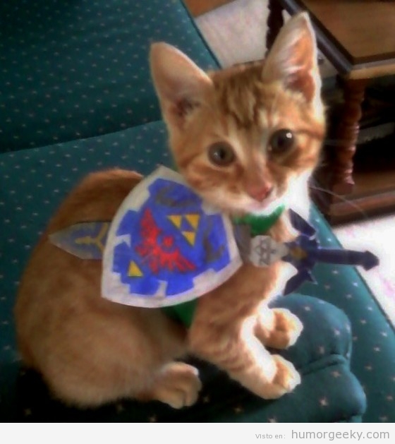 Gato disfrazado de Link