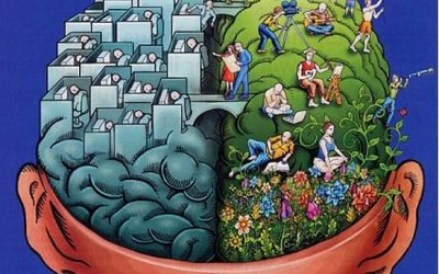 Para qué sirve cada hemisferio del cerebro?