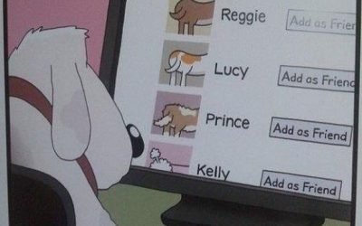 Si los perros usaran Facebook…