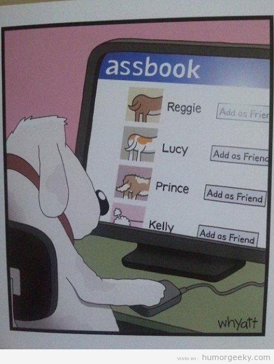 Perro utilizando Assbook