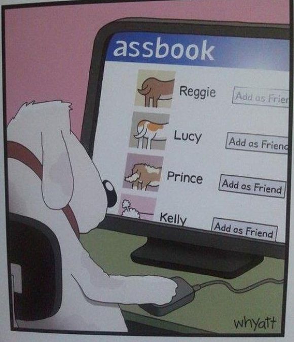 Si los perros usaran Facebook…