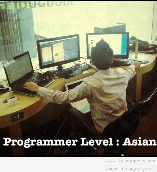 Programador nivel: asiático