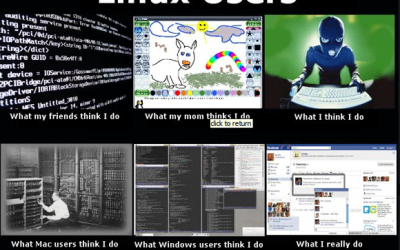 La percepción de los usuarios de Linux