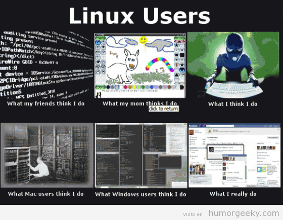 Cuál es la realidad de los usuarios de Linux.