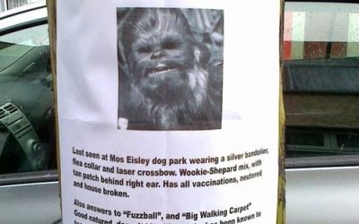 Oh no! Se ha perdido Chewbacca