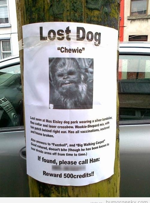 Oh no! Se ha perdido Chewbacca