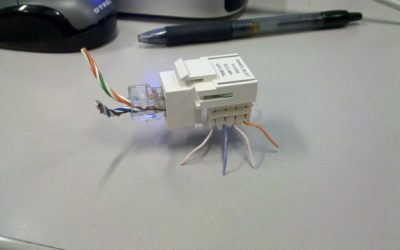 Hemos encontrado un bug en la red
