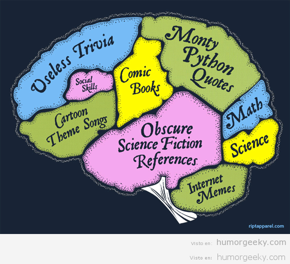 Las partes del cerebro un geek
