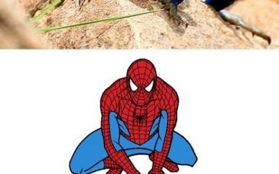 La nueva mascota de Spiderman
