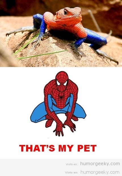 La nueva mascota de Spiderman
