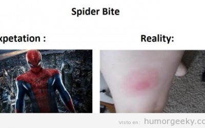 Picadura de araña: expectativas vs. realidad