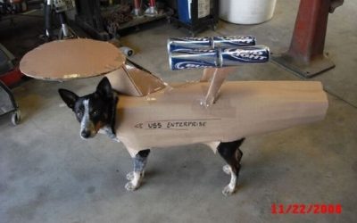 Es mejor que un geek no tenga mascota