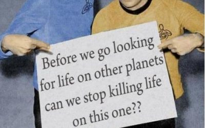 Tenemos un mensaje de Spock y Kirk
