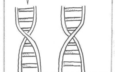 Chiste sobre el ADN