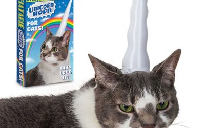 Cuerno de unicornio para gatos