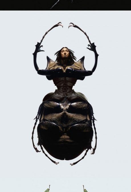 Mujeres insecto
