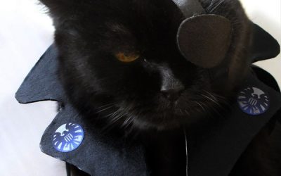 Gato friki