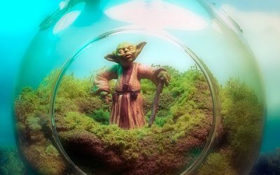 Terrario Star Wars