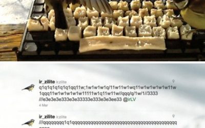 Los pájaros y Twitter