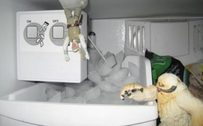Recuerdas la escena del Wampa y Luke Skywalker?