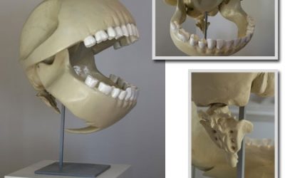 La calavera de Pac-Man