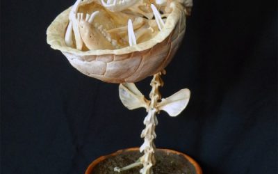La tienda de los horrores