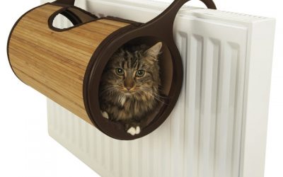 Con este accesorio no tendrás que aguantar más al gato