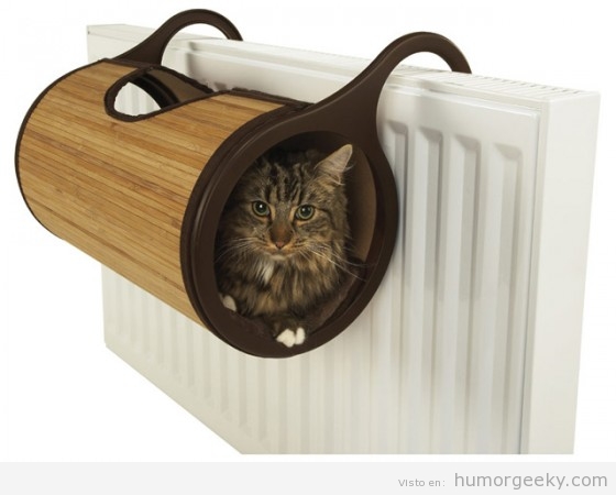 Sitio para gatos en el radiador